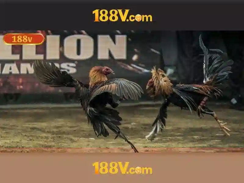 188v vip - Trải nghiệm đỉnh cao và tiềm năng số