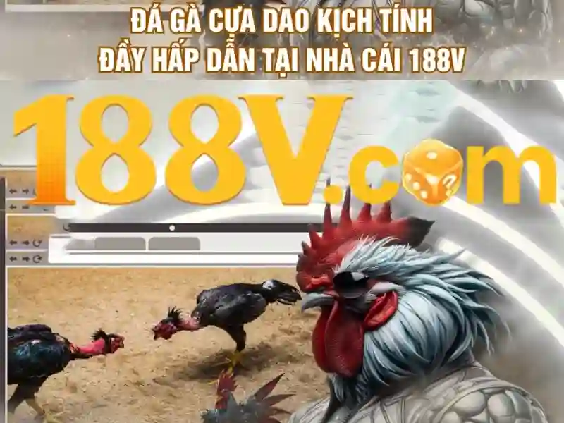 Hỗ trợ 188v – Định hình thương hiệu và trải nghiệm khách hàng