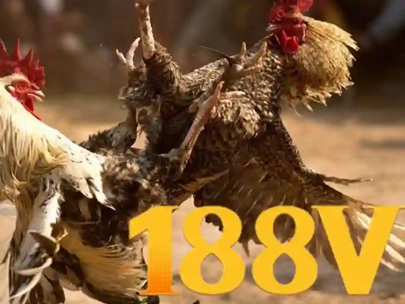 188v: hành trình của một phiên bản số