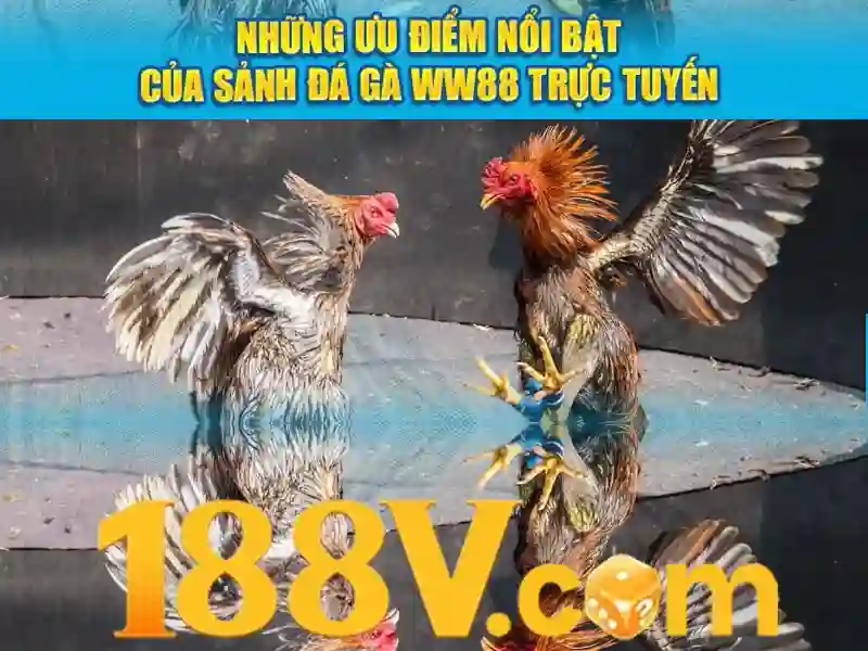 review 188v – Đánh giá chi tiết và trải nghiệm vượt trội